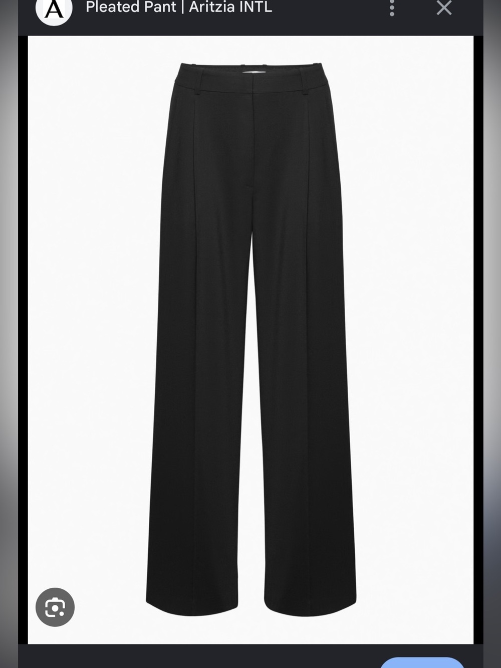 Aritzia Black Wide-Leg Pleated Trousers